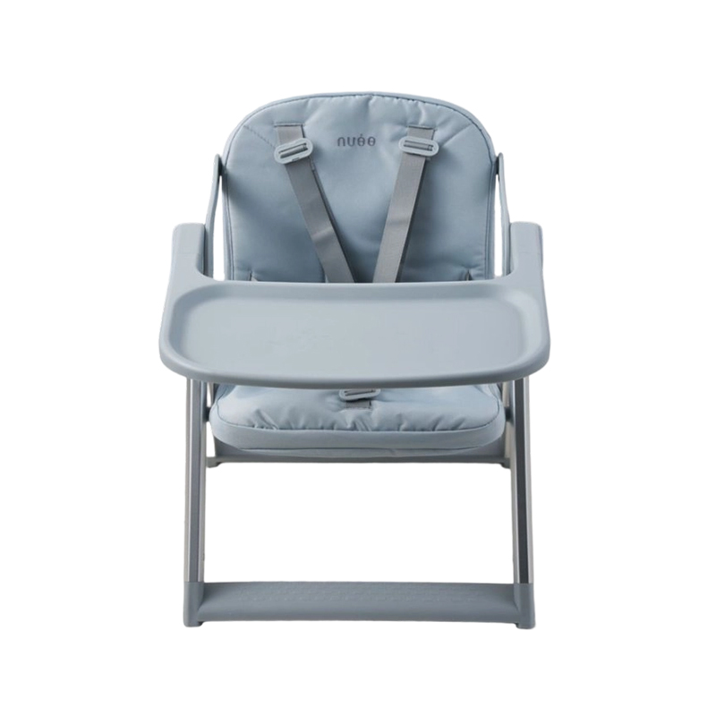 Adjustable Booster Chair